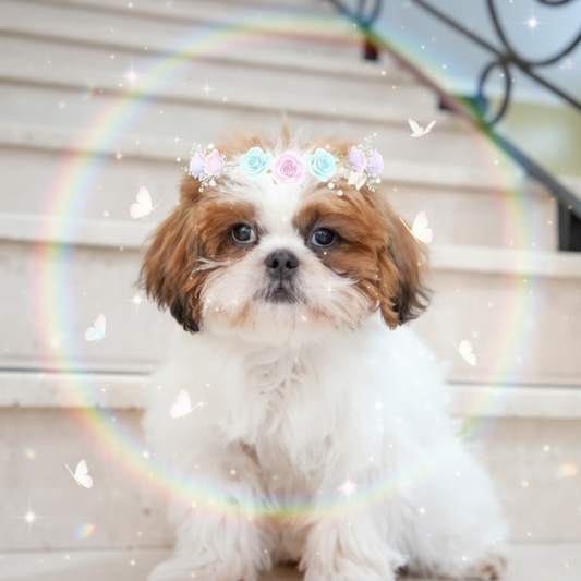 The Instagram Filter - Custom Pet Art Tile