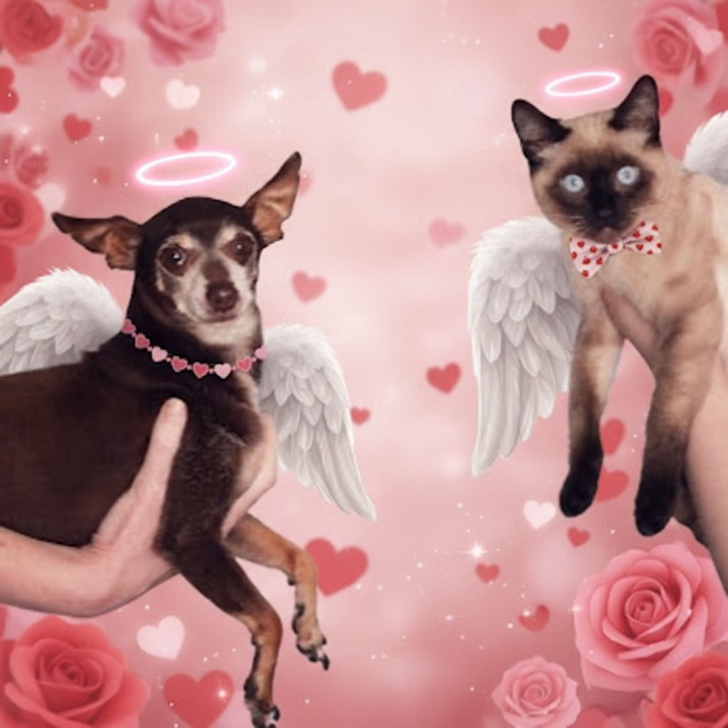 The Valentine Angel - Custom Pet Art Tile